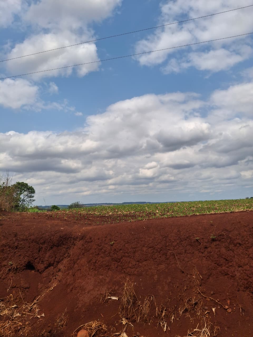 Estudios y Licencias Ambientales